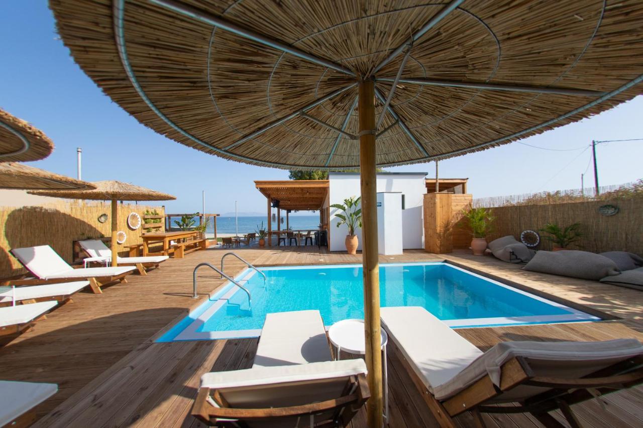 Logos Village Orman Evi *