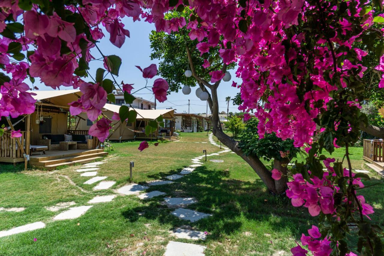 Logos Village * Theológos